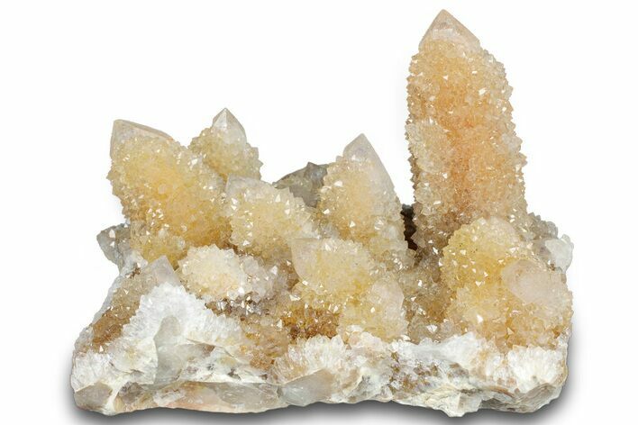 Sparkling Cactus Quartz Crystal Cluster - South Africa #303479